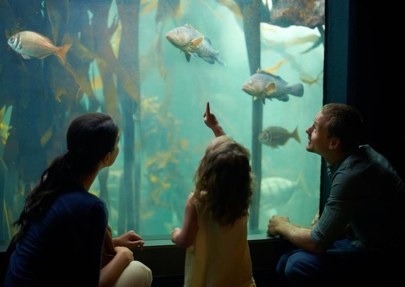 Family enjoying watching at the big aquarium