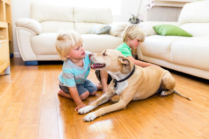 Dog playing with two kids